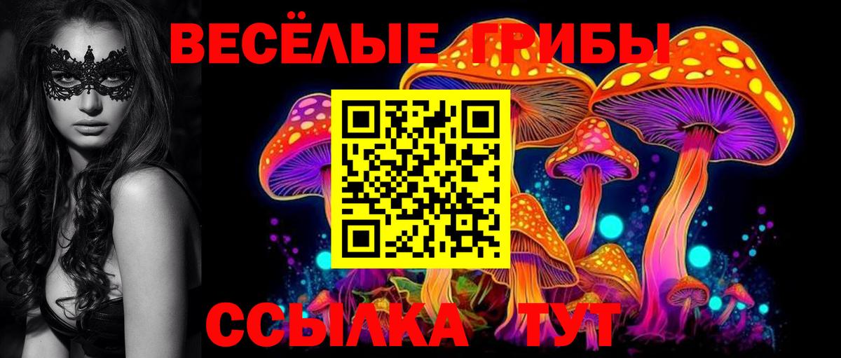 Псилоцибиновые грибы прущие грибы  дарнет шоп  Галлюциногенные грибы Cubensis  Асино  Вход с VPN 
